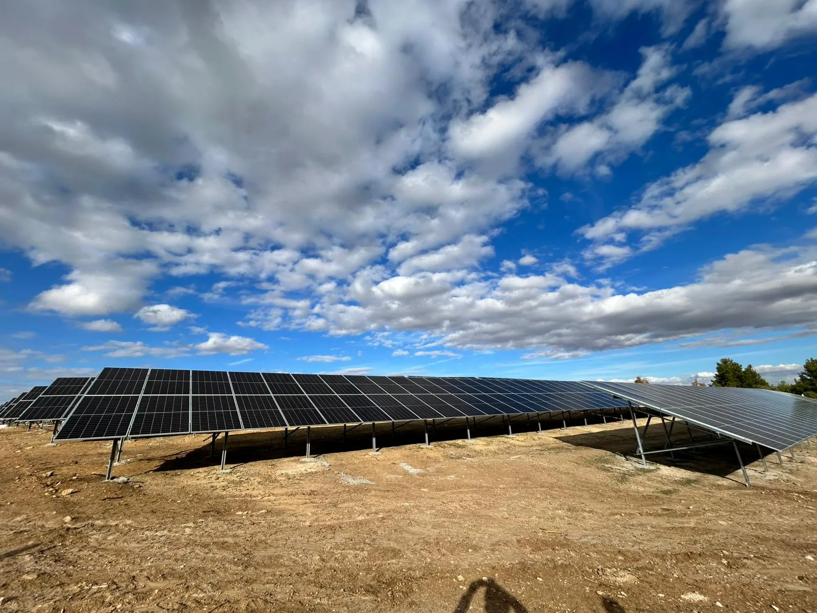 Proje Tesis Karesi 17
